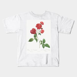 Red Cabbage Rose,  Bengal eyelet by Pierre-Joseph Redouté Kids T-Shirt